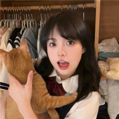 海豚蹄